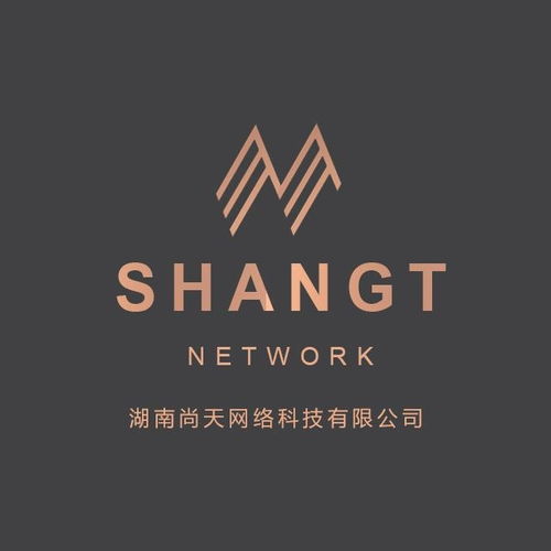 湖南尚天網(wǎng)絡(luò)科技