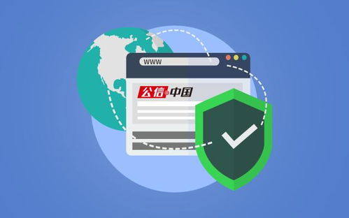 2018年中國域名大會cnnic行業合作伙伴年會 納網科技助力國家域名創新應用