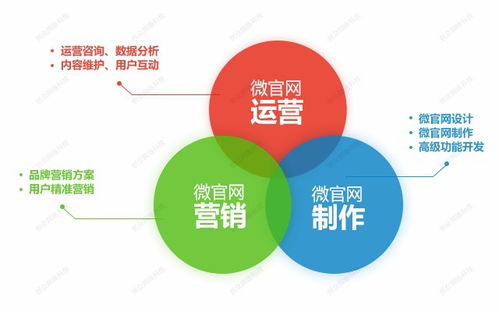 看準(zhǔn)網(wǎng)