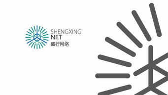 專注于網絡科技的企業 盛行網絡