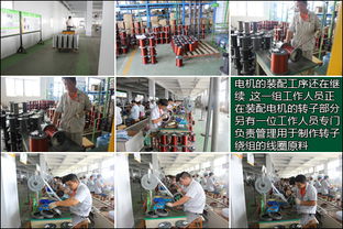 參觀綠源山東工廠 嚴格工序與高科技打造產品