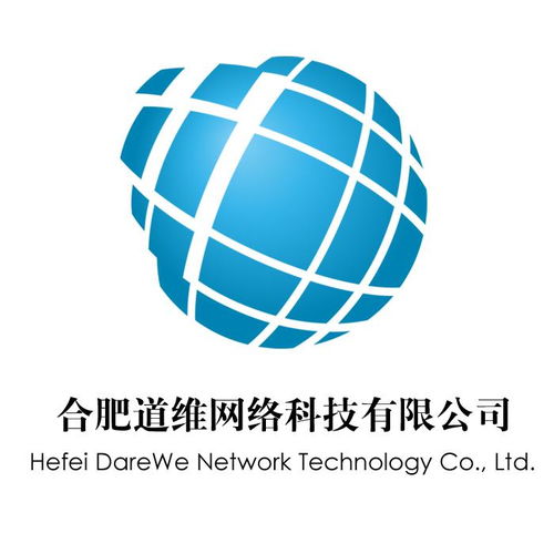 合肥道維網絡科技