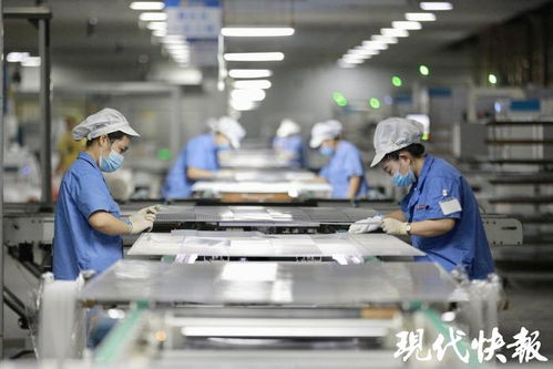 高質(zhì)量發(fā)展調(diào)研行 逐 光 前行,宿遷光伏產(chǎn)業(yè)再進階